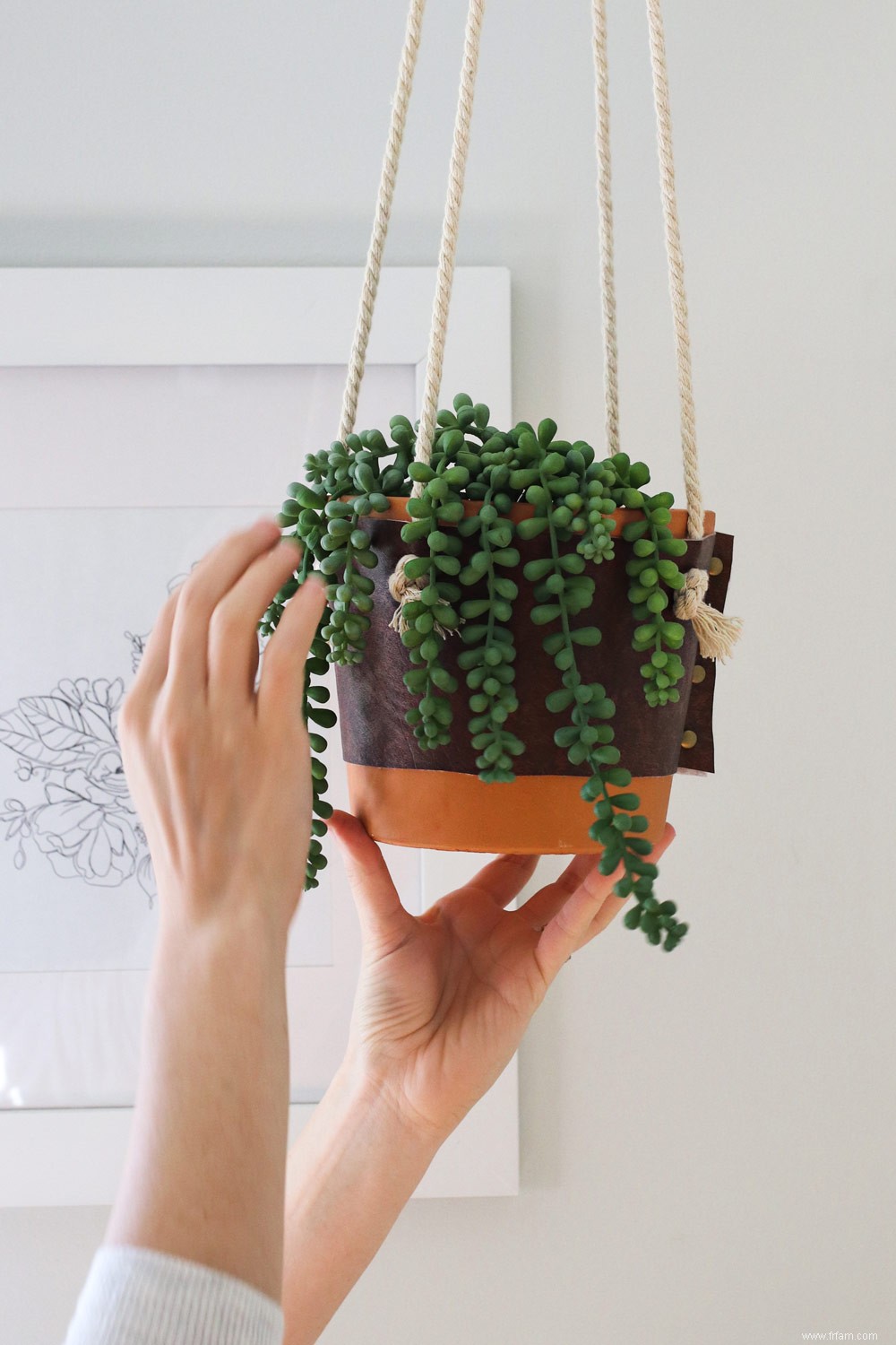 6 façons de préparer votre propre nourriture pour plantes d intérieur 