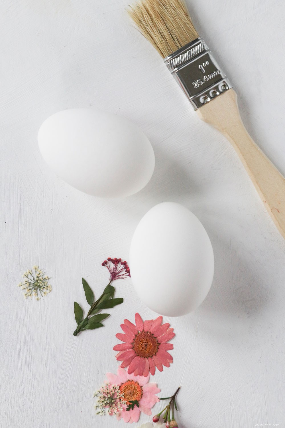 Œufs de Pâques en fleurs pressées bricolage 