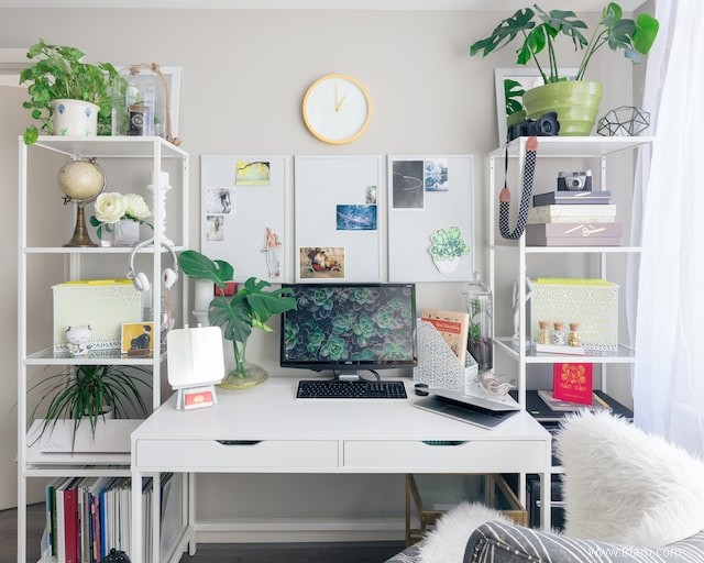 Plantes, huiles essentielles et cristaux indispensables pour un bureau à domicile productif 