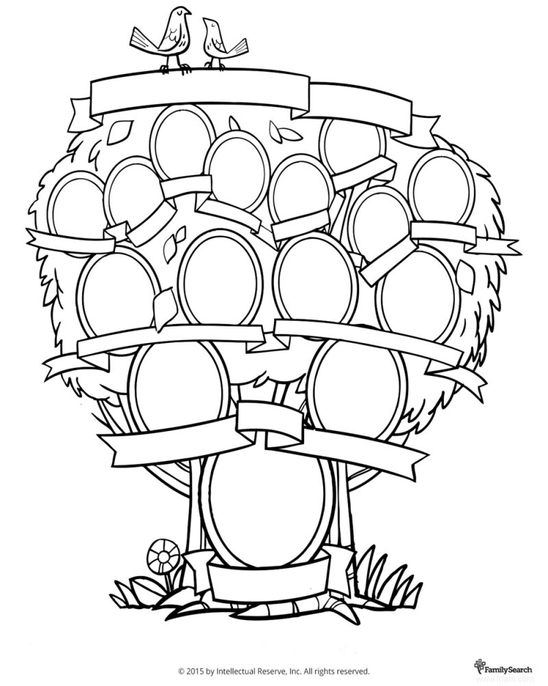 Modèles d arbres généalogiques imprimables gratuits et idées d arbres généalogiques en ligne 
