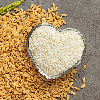 Le riz est-il un bon repas avant l entraînement ? Selon un diététicien 