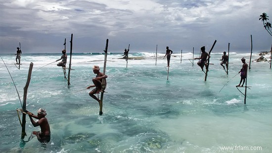 Sérendipité au Sri Lanka 