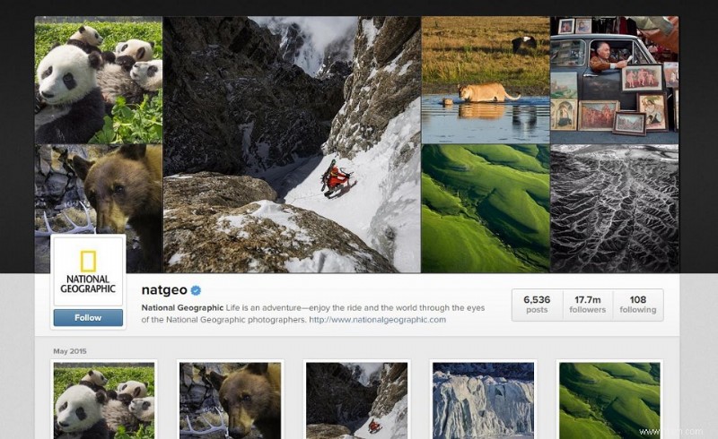 8 conseils pour gagner plus d abonnés Instagram authentiques pour les entreprises 