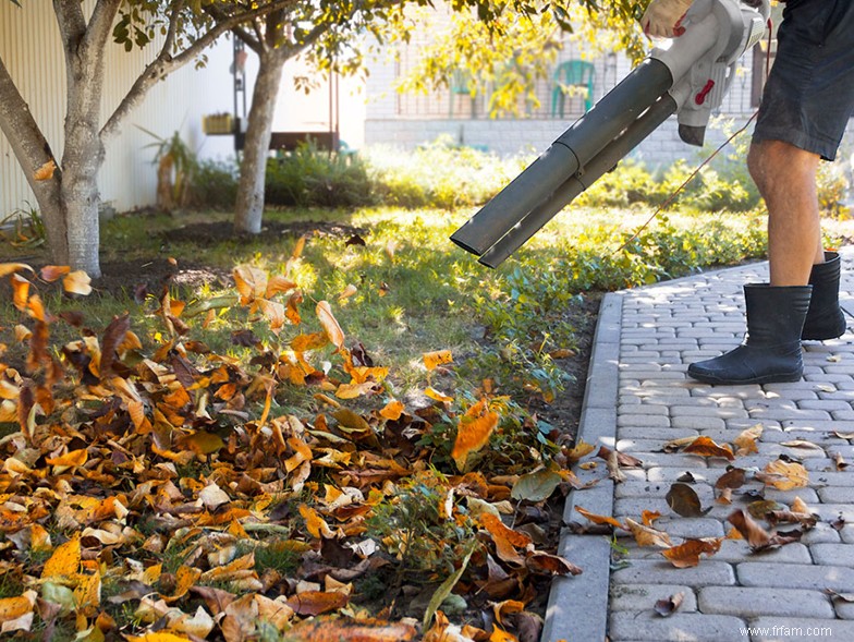 Éliminez le travail de votre jardin 