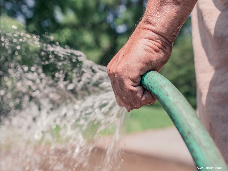 5 erreurs de jardinage à éviter 