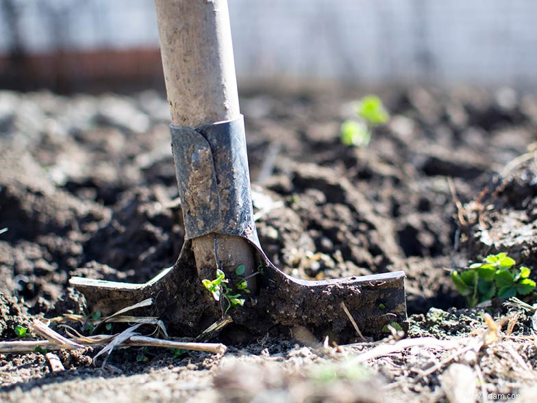 Guide facile d entretien des pelouses en automne 