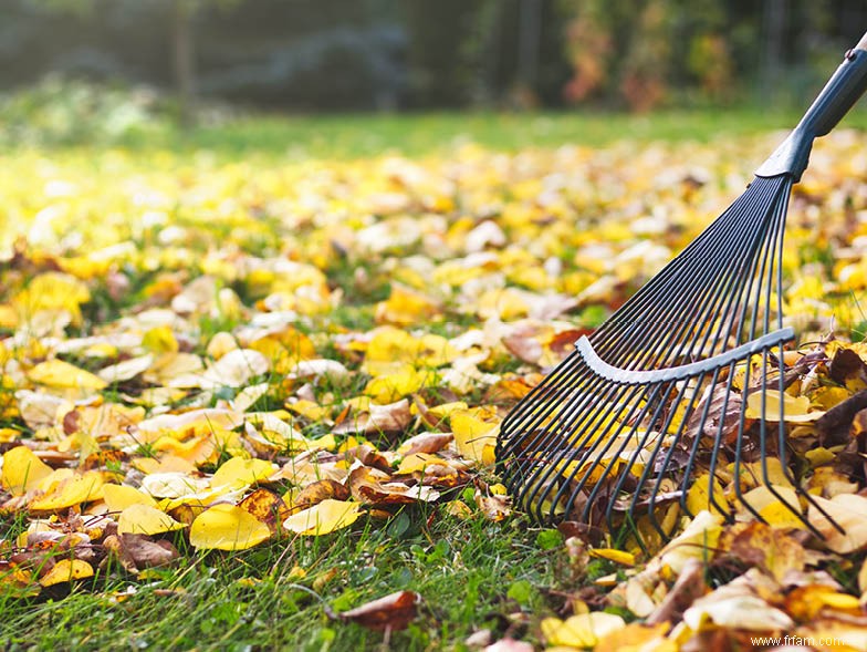 Guide facile d entretien des pelouses en automne 