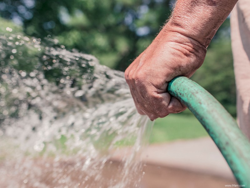 Conseils pour entretenir un potager 