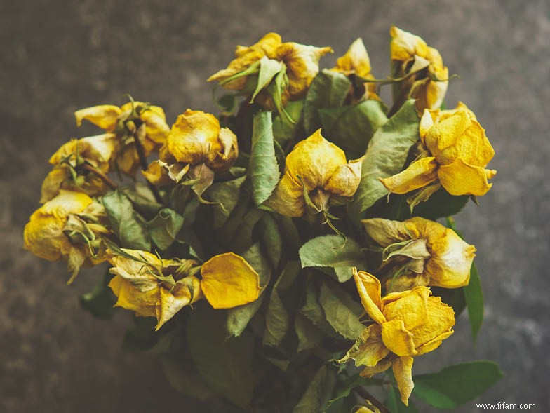 Comment entretenir votre jardin cet été 