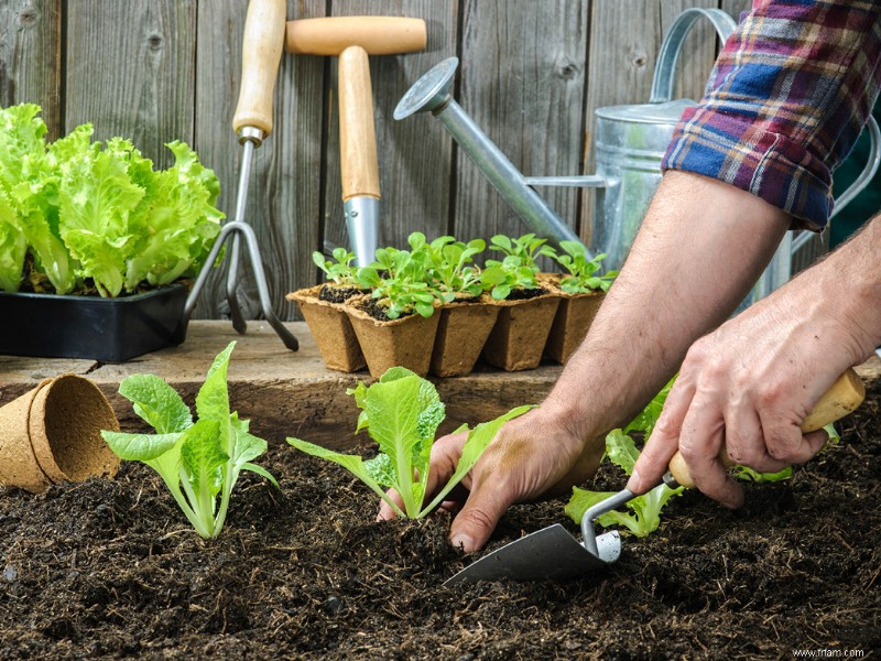 Conseils de jardinage printanier du nord-est 