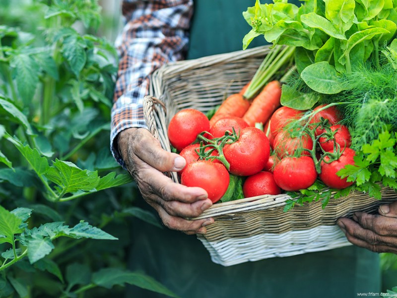 Conseils de jardinage printanier du nord-est 