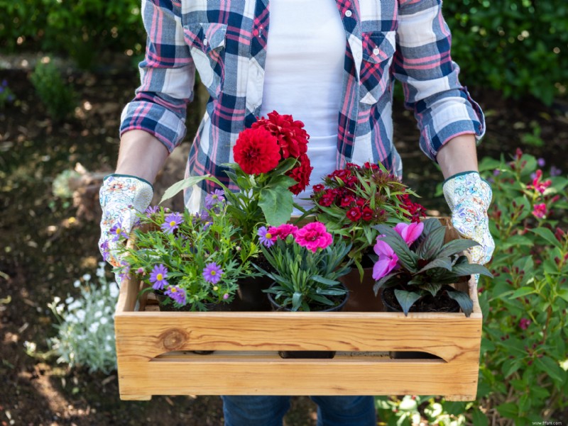 Idées de variété de jardin 