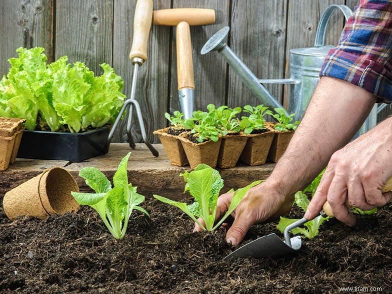 Conseils de jardinage du sud du printemps 