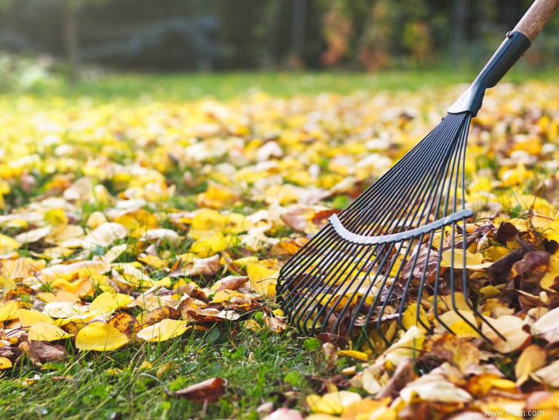 Conseils de jardinage printanier du nord-ouest du Pacifique 