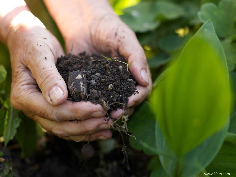 Conseils de jardinage printanier du nord-ouest du Pacifique 