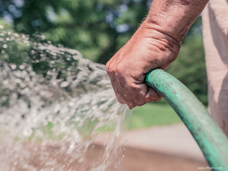 Conseils de jardinage printanier du sud-ouest 