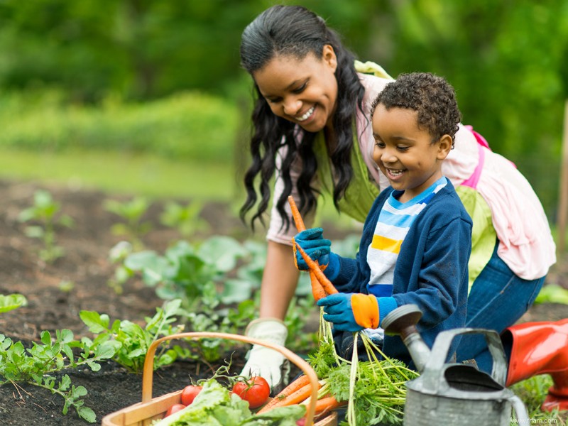 Entretenir un jardin sans produits chimiques 