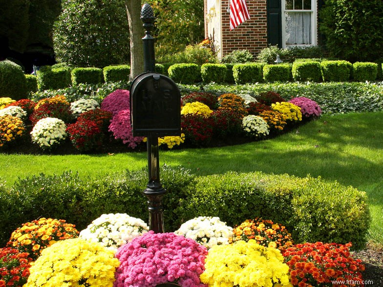 Vert de jalousie :Hacks Curb Appeal 