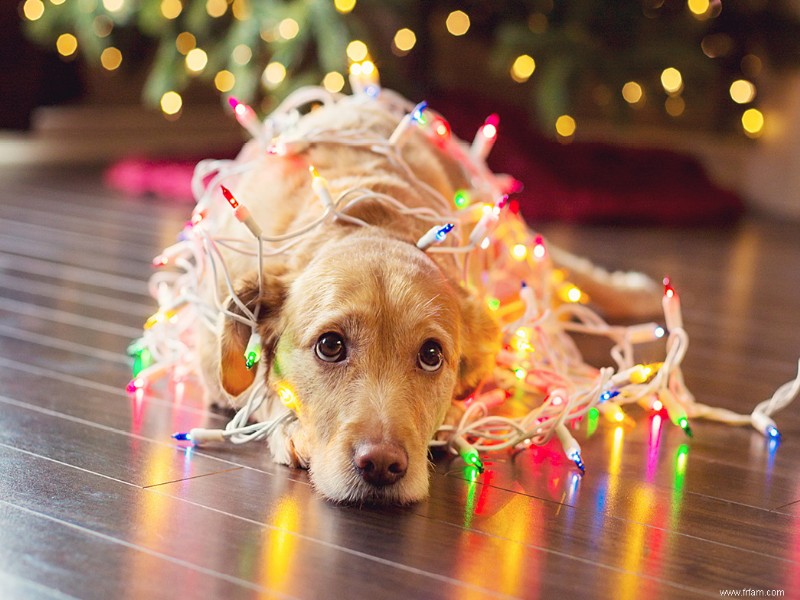 Faites-en plus avec vos lumières de Noël 