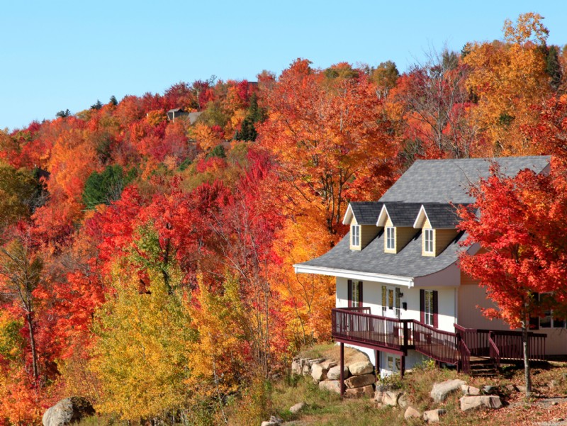 Ce sont les meilleurs emplacements de maisons de vacances aux États-Unis 