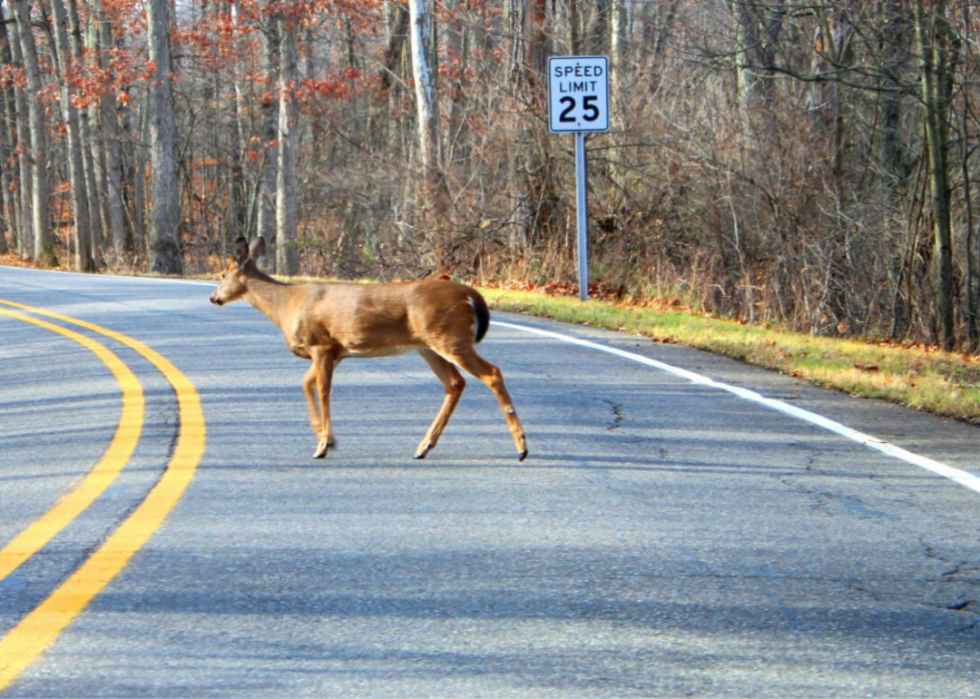 États où vous êtes le plus susceptible de frapper un cerf 