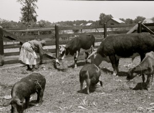 Comment l agriculture a changé dans chaque État au cours des 100 dernières années 