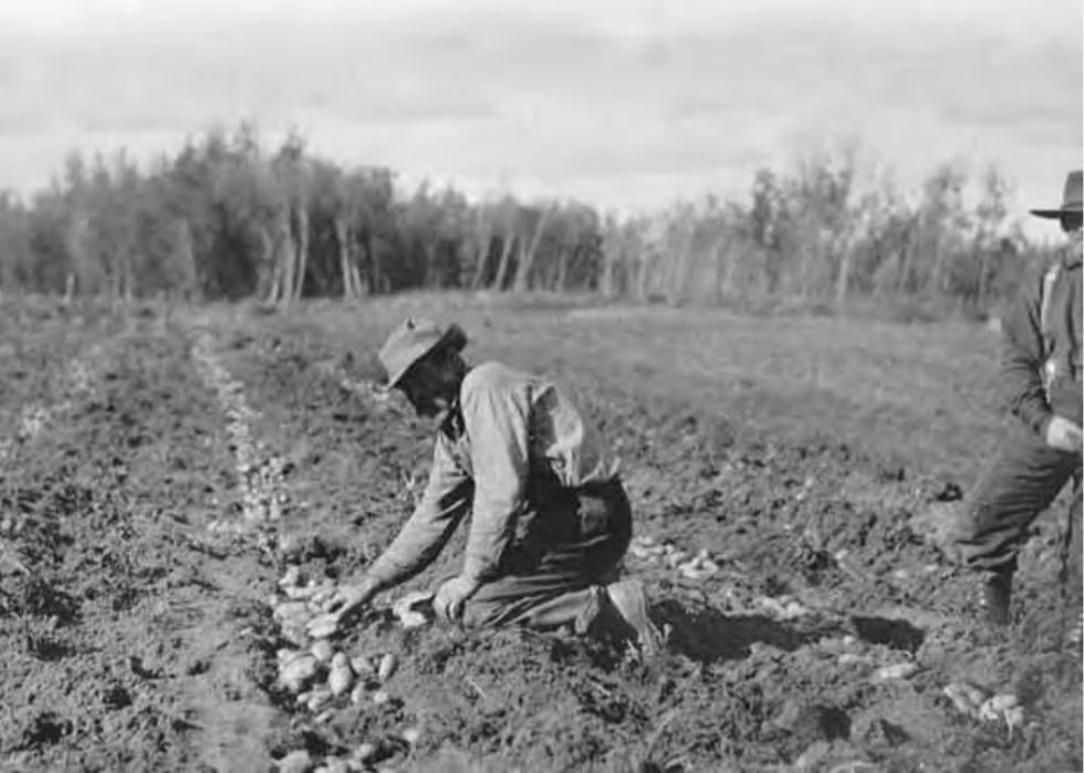 Comment l agriculture a changé dans chaque État au cours des 100 dernières années 