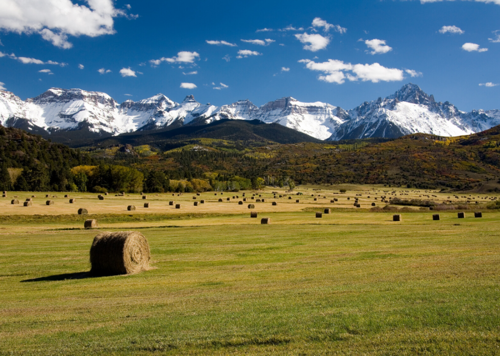 Comment l agriculture a changé dans chaque État au cours des 100 dernières années 