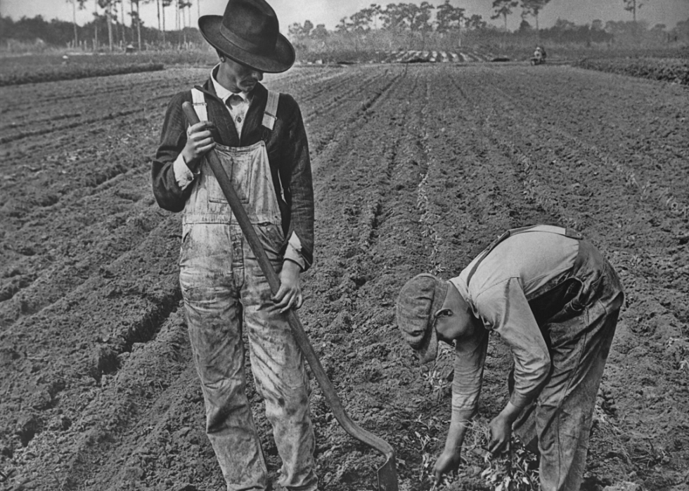 Comment l agriculture a changé dans chaque État au cours des 100 dernières années 