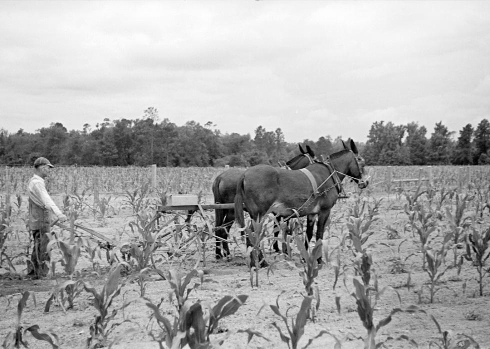 Comment l agriculture a changé dans chaque État au cours des 100 dernières années 