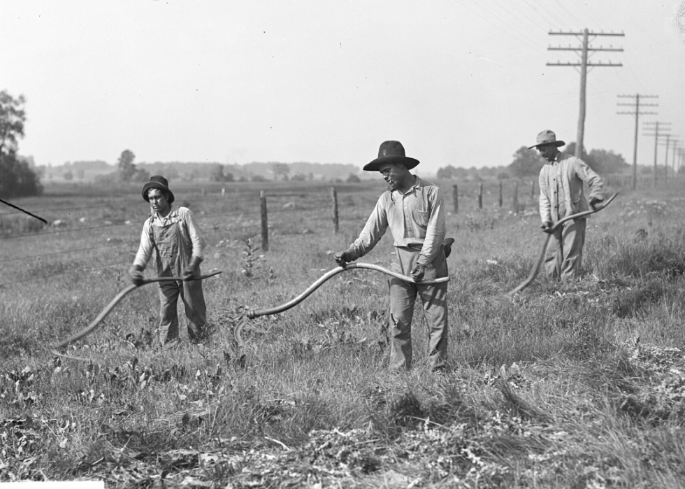 Comment l agriculture a changé dans chaque État au cours des 100 dernières années 