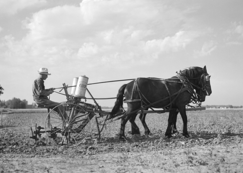 Comment l agriculture a changé dans chaque État au cours des 100 dernières années 