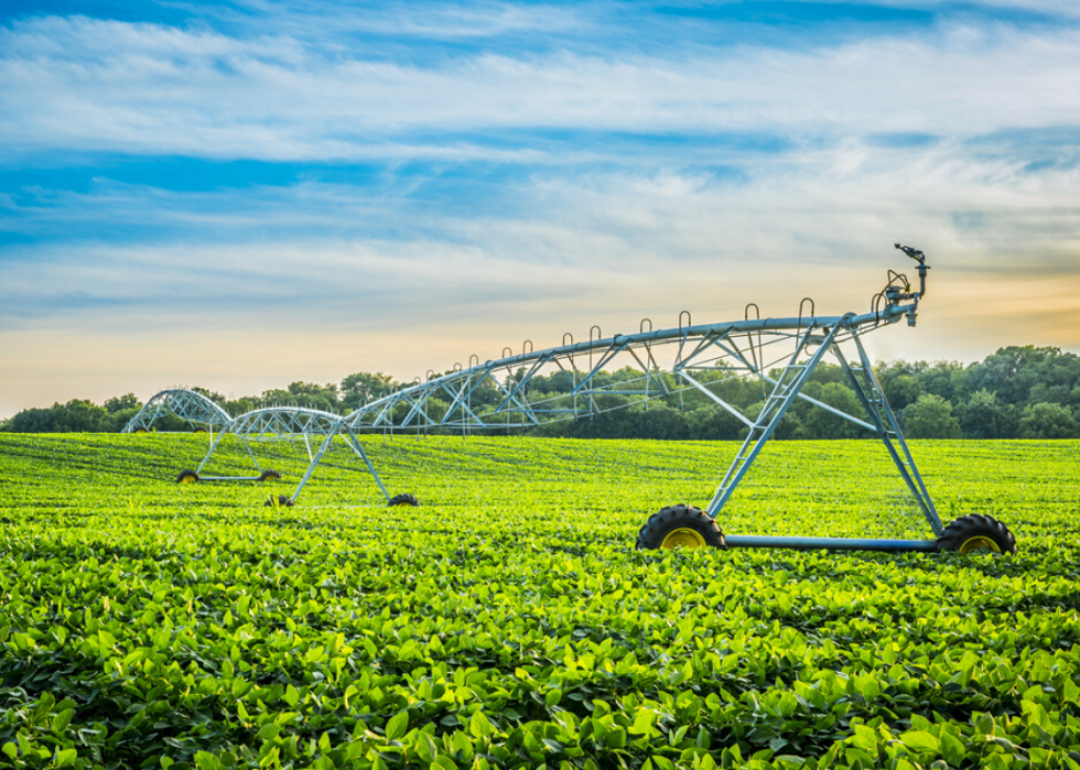 Comment l agriculture a changé dans chaque État au cours des 100 dernières années 