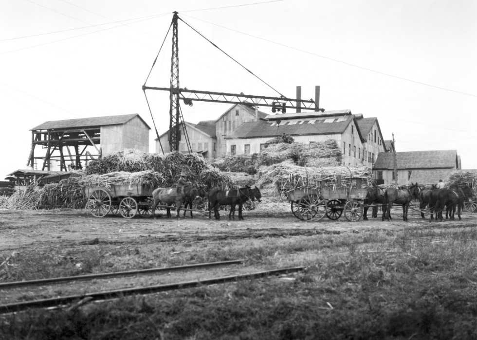 Comment l agriculture a changé dans chaque État au cours des 100 dernières années 