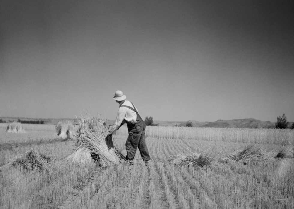 Comment l agriculture a changé dans chaque État au cours des 100 dernières années 