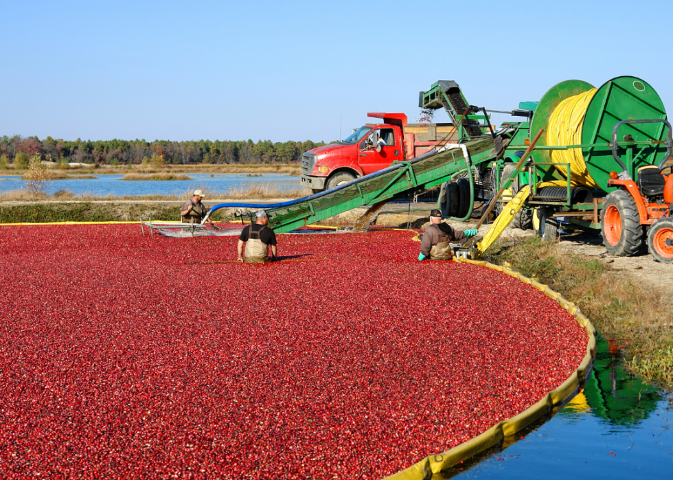 Comment l agriculture a changé dans chaque État au cours des 100 dernières années 