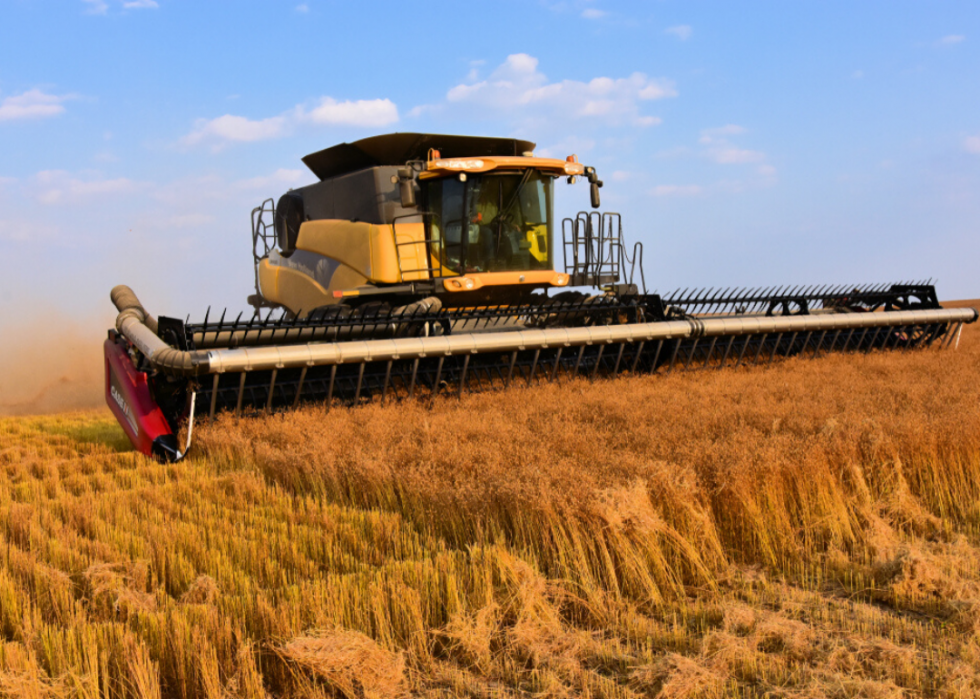 Comment l agriculture a changé dans chaque État au cours des 100 dernières années 