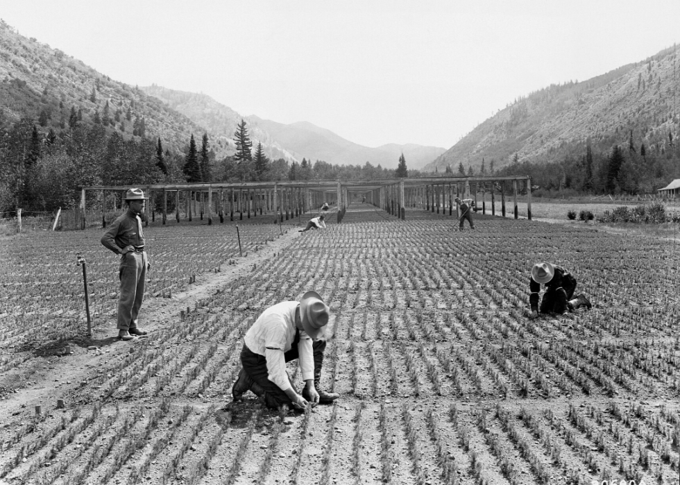 Comment l agriculture a changé dans chaque État au cours des 100 dernières années 