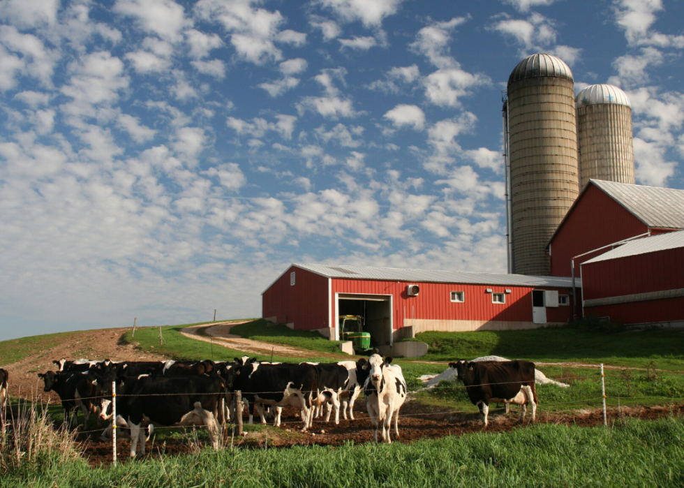 Comment l agriculture a changé dans chaque État au cours des 100 dernières années 