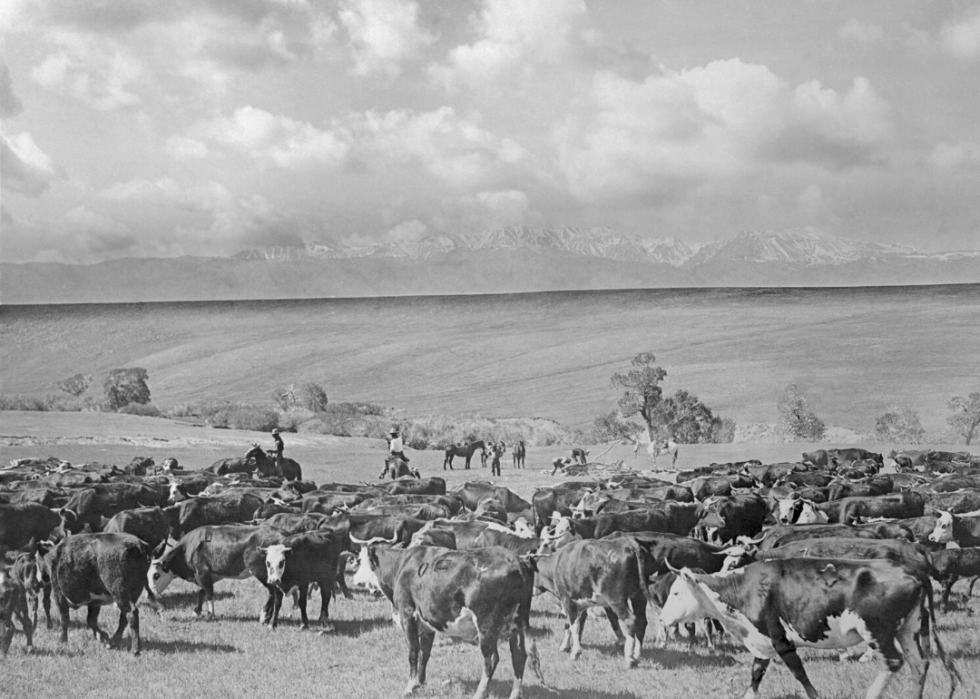 Comment l agriculture a changé dans chaque État au cours des 100 dernières années 