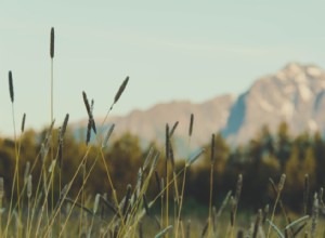 Les États qui ont perdu le plus de fermes au cours des 100 dernières années 