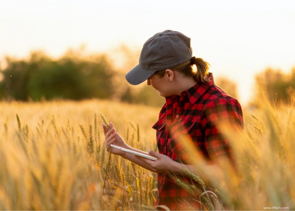 50 faits fascinants sur l agriculture en Amérique 