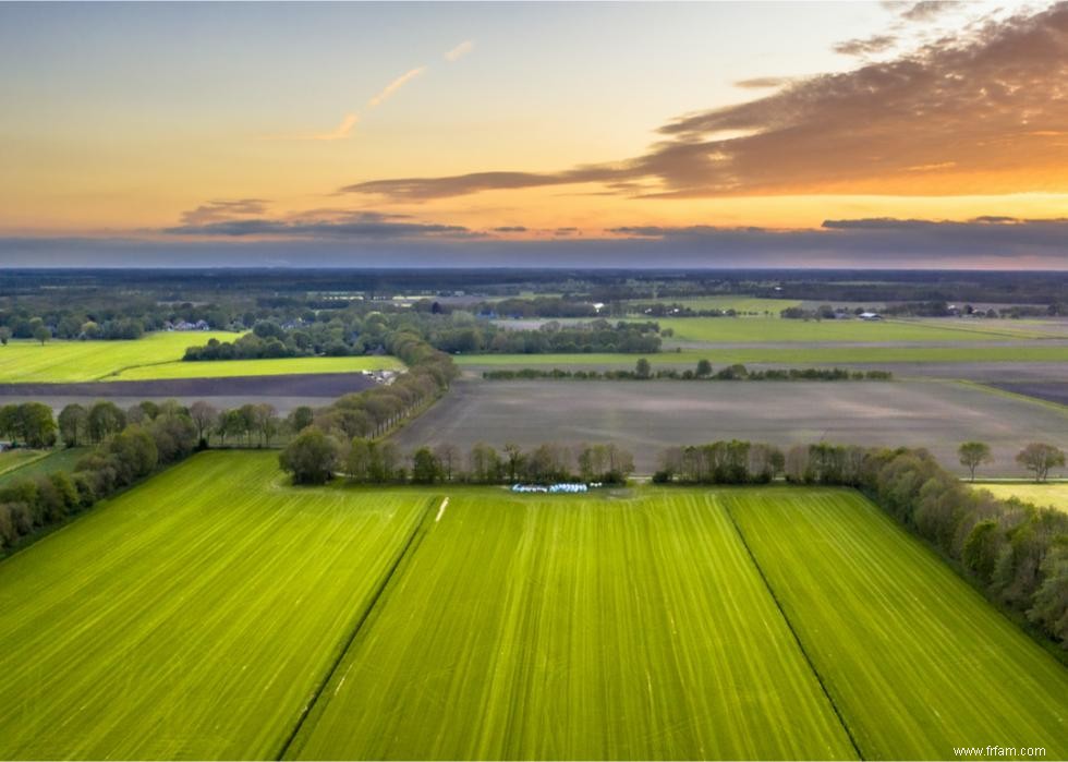 50 faits fascinants sur l agriculture en Amérique 