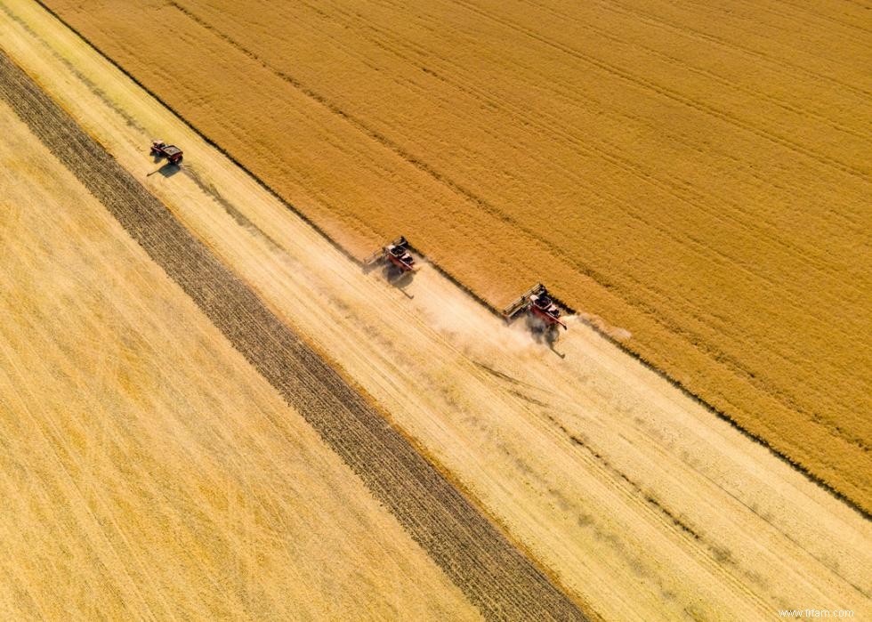 50 faits fascinants sur l agriculture en Amérique 