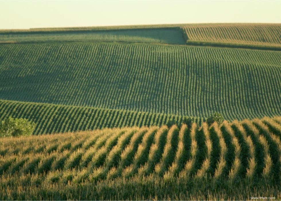 50 faits fascinants sur l agriculture en Amérique 