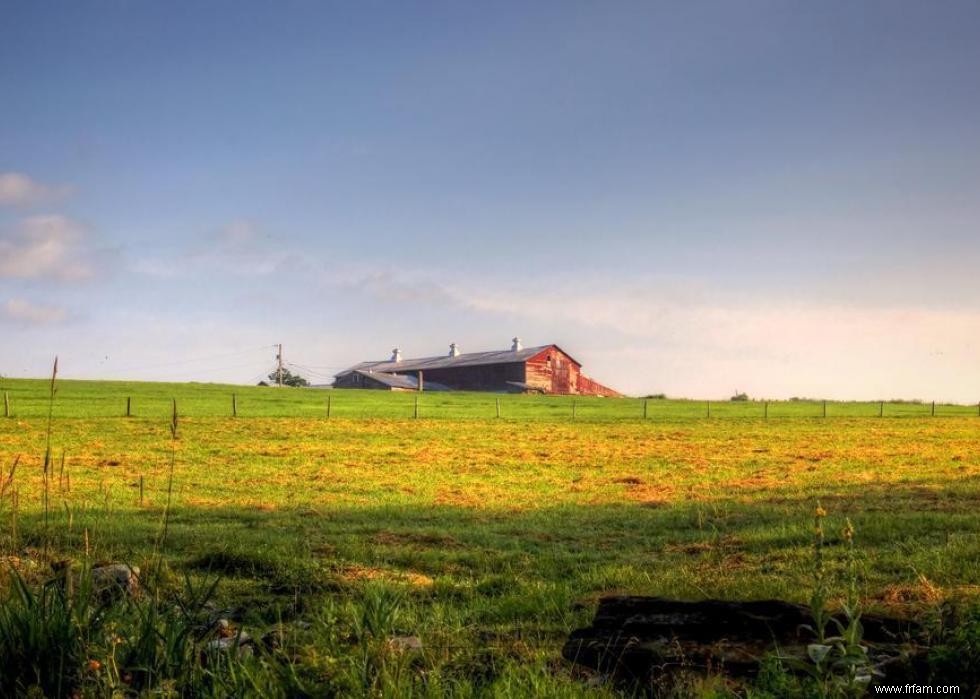 États avec le plus de terres agricoles 