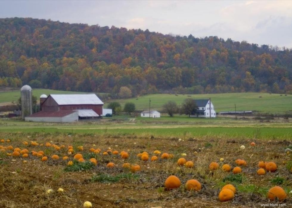 États avec le plus de terres agricoles 