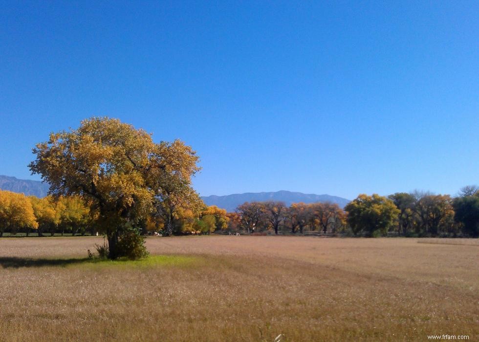 États avec le plus de terres agricoles 