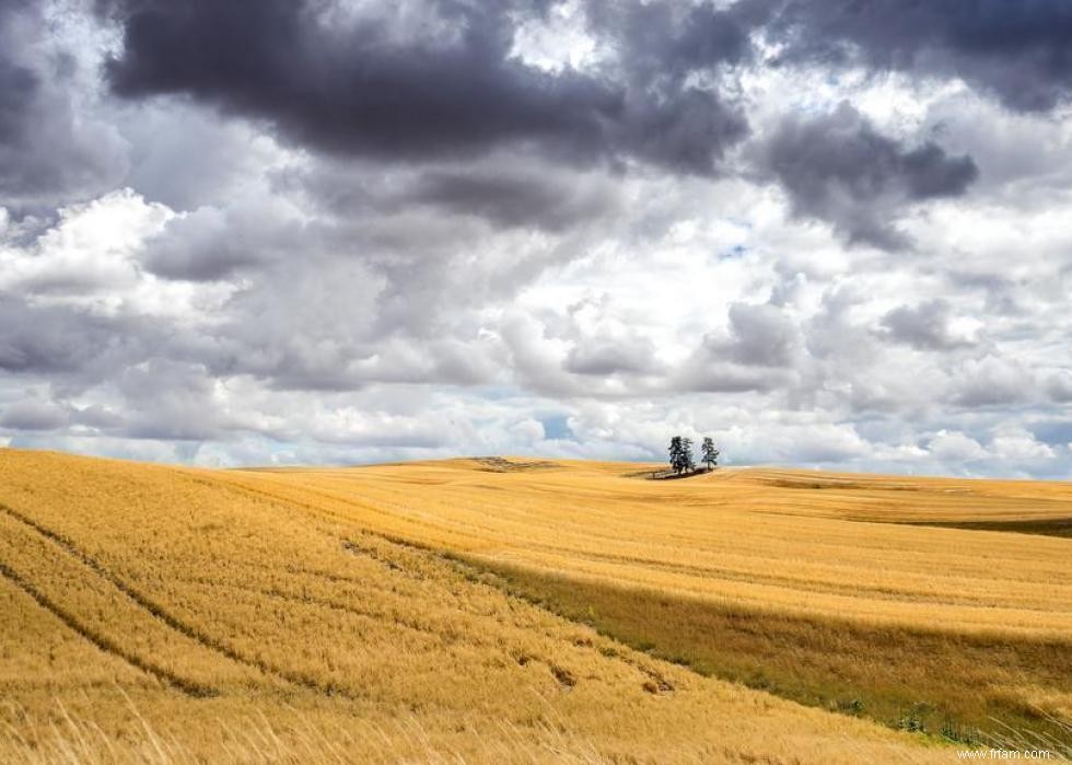 États avec le plus de terres agricoles 