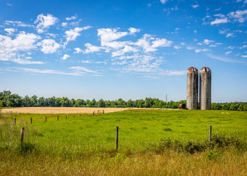 Le plus grand comté agricole de chaque État 